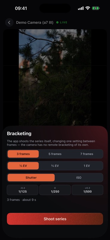 Bracketing settings: the number of frames, shutter or ISO, and the step between frames.