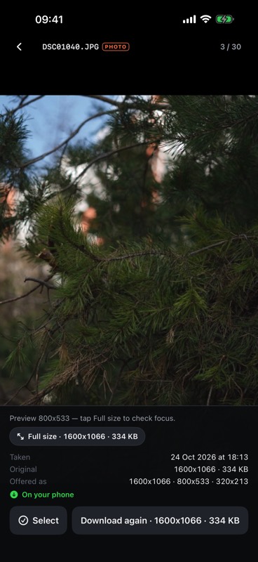 A photograph from the memory card shown full screen, with when it was shot and the sizes the camera offers.