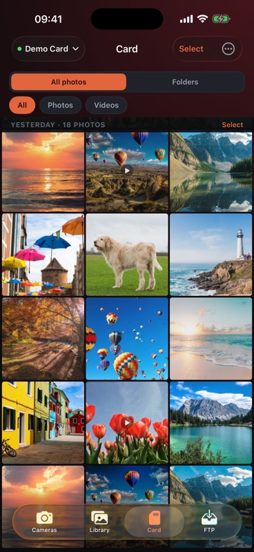 The camera's memory card browsed by day, as a grid of photographs.