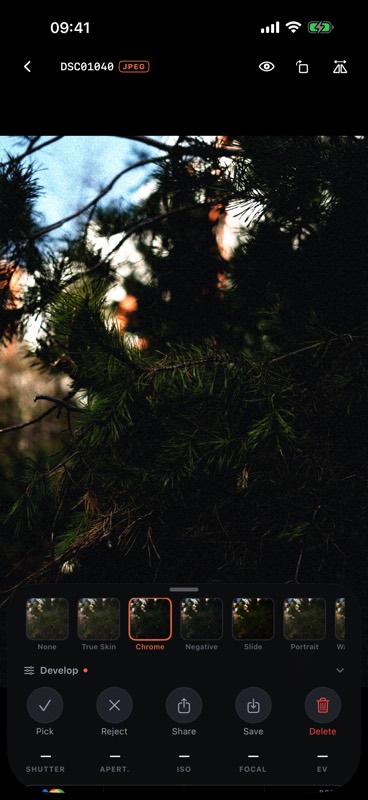 A look laid over a photograph, chosen from a row of previews under it.