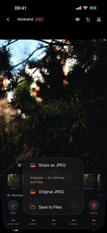 The share menu: Share as JPEG first, then the originals for AirDrop and Files, and Save to Files.